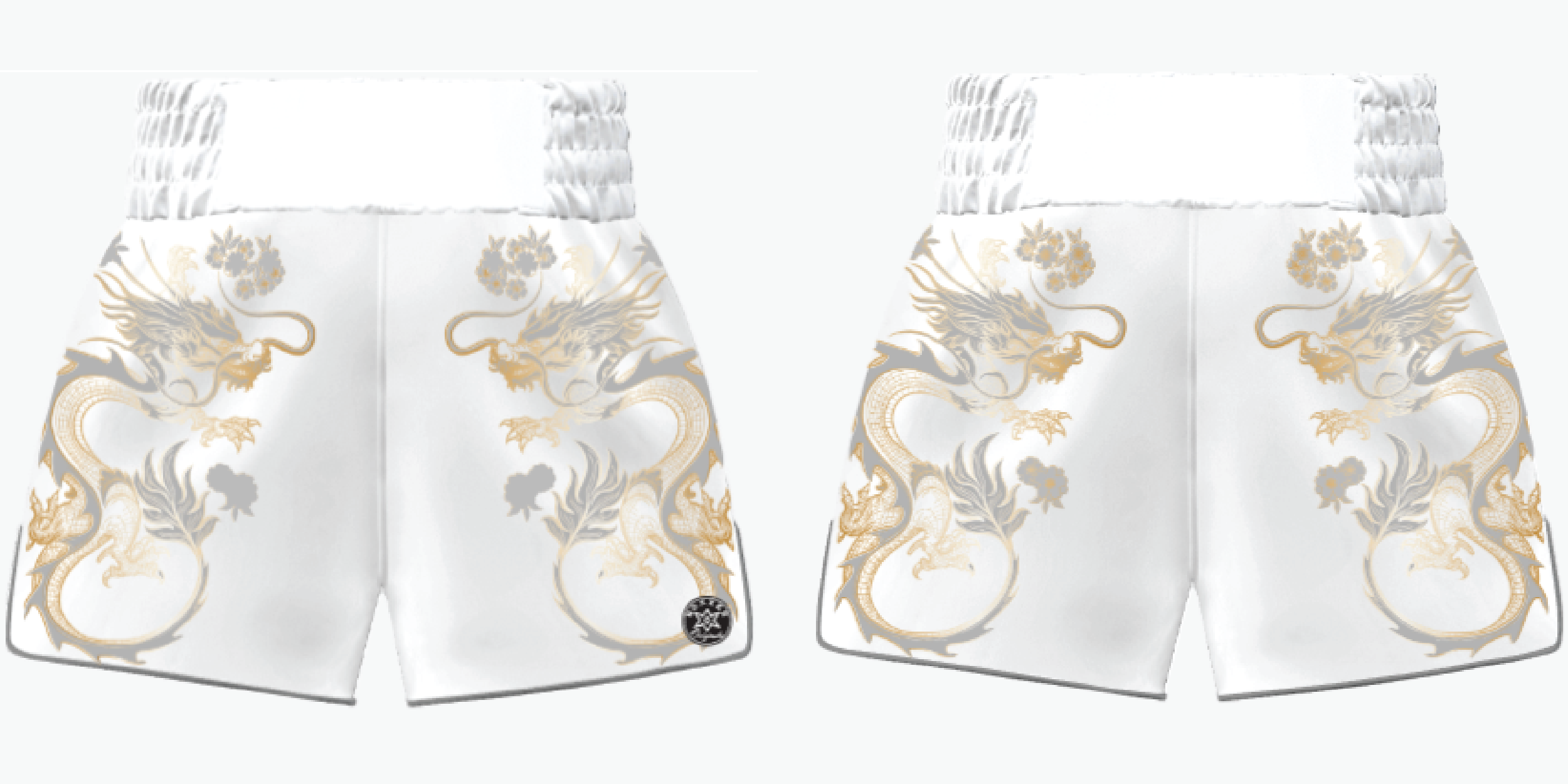 DRAGON MTS | Custom Muay Thai Shorts | Boxxerworld
